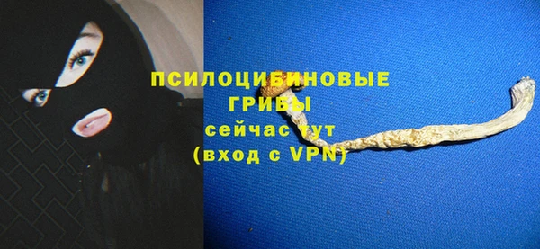 МДПВ Мегион
