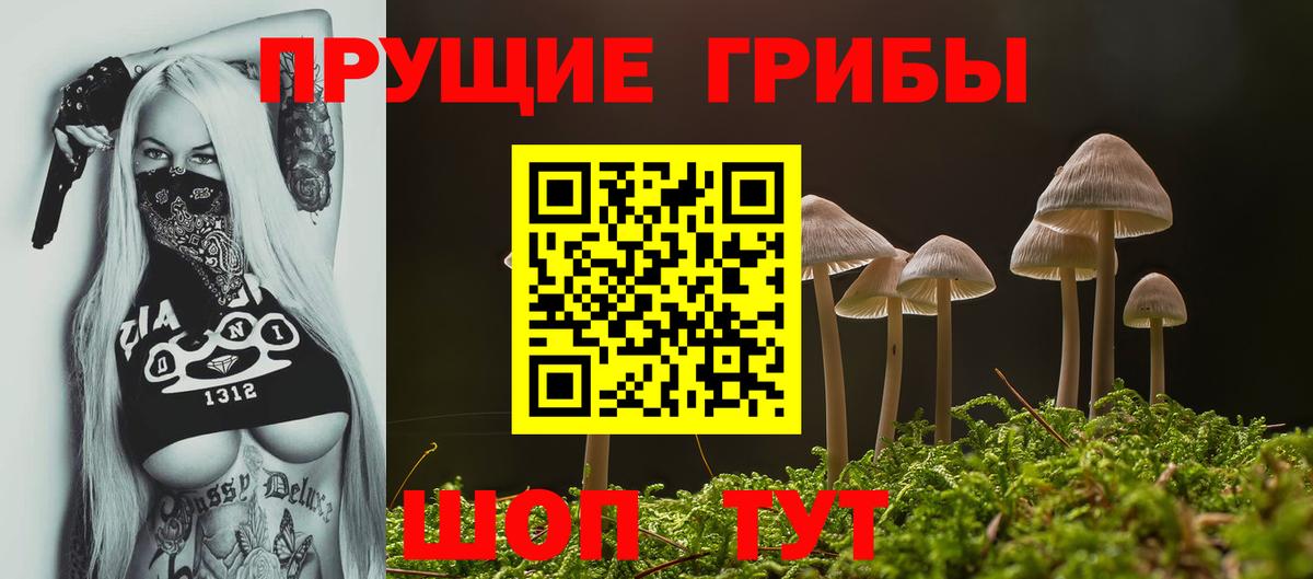 Аксай  Псилоцибиновые грибы Cubensis  Вход с VPN 