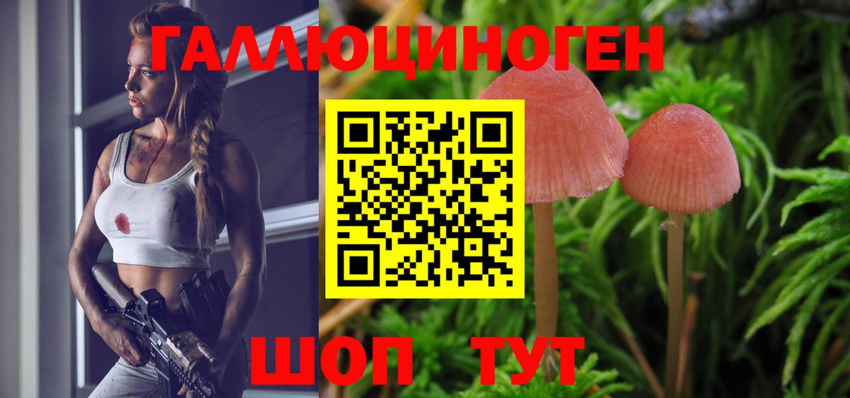 Псилоцибиновые грибы мухоморы Аксай
