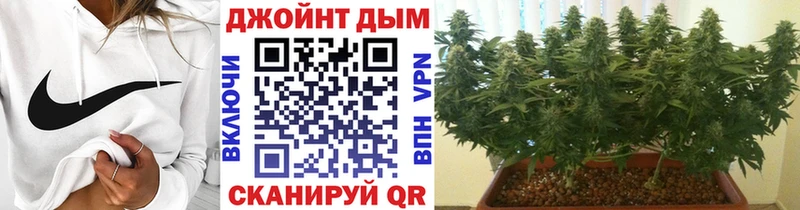 ссылка на мегу вход Аксай Бошки Шишки Ganja